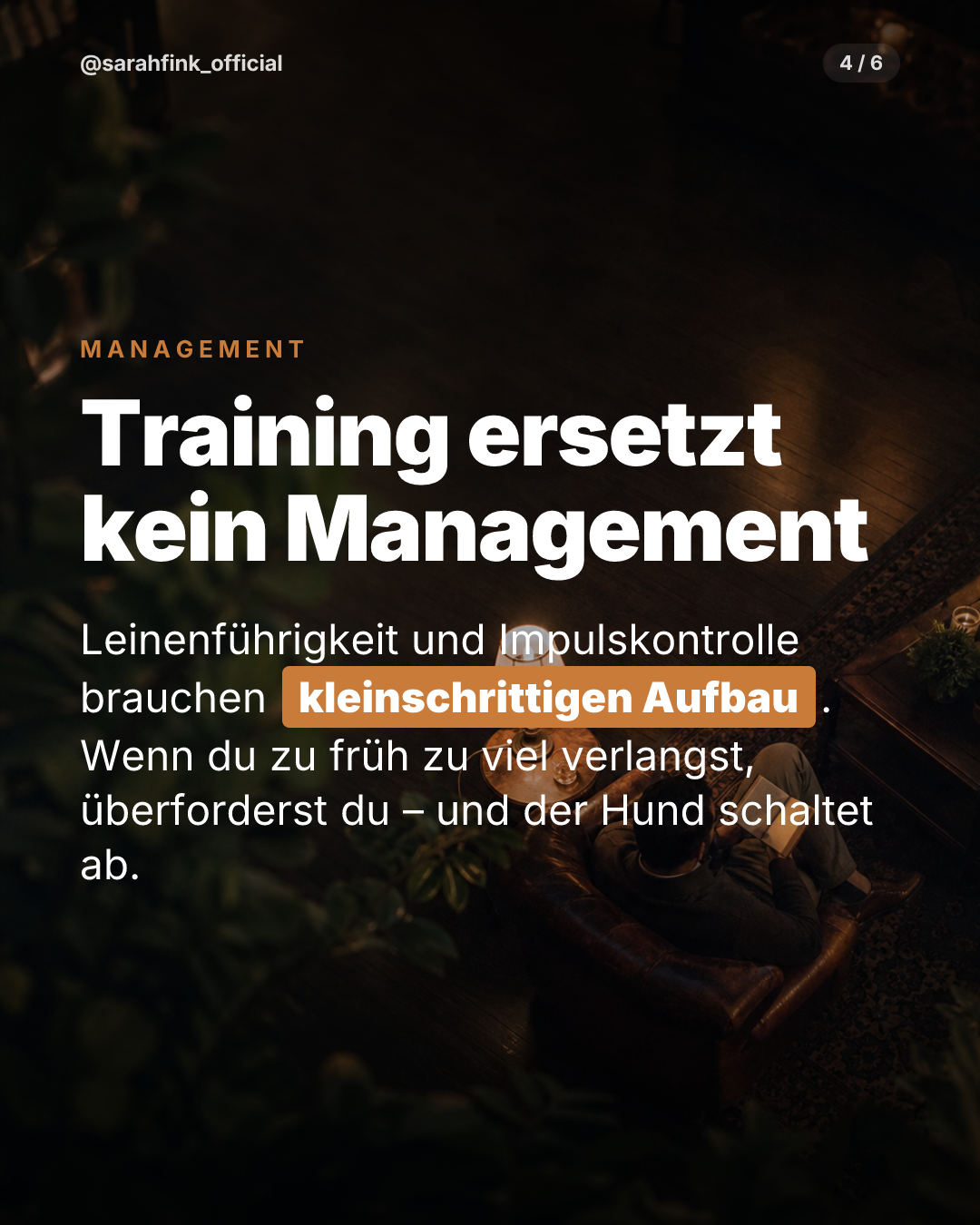 Beispiel Body-Slide: Training ersetzt kein Management