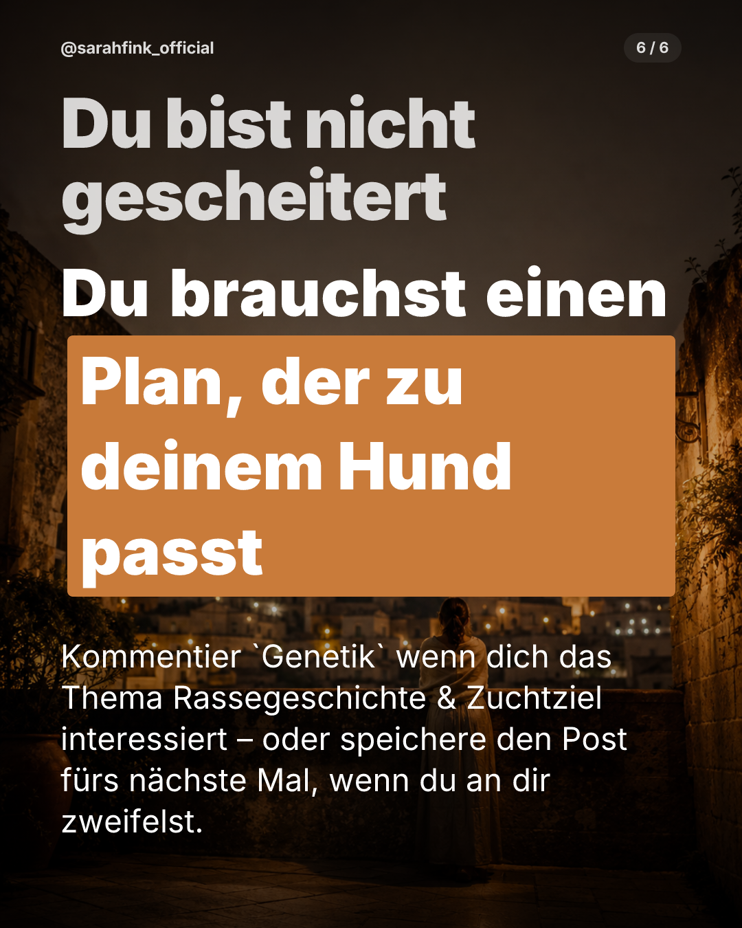 Beispiel CTA-Slide: Du brauchst einen Plan, der zu deinem Hund passt