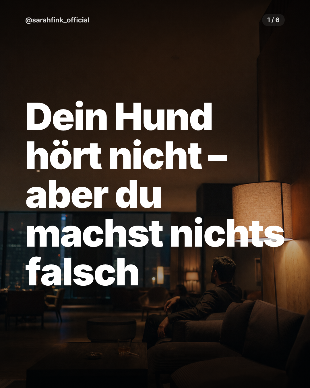 Beispiel Hook-Slide: Dein Hund hört nicht – aber du machst nichts falsch